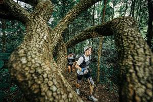 BIB: 
                            <button type="button" onclick="openModal(25393152)" class="btn btn-primary btn-sm float-right btn-popup" data-toggle="modal" data-target=".modal-high-quality">
                        <i class="fas fa-shopping-cart"></i> Add to Cart
                    </button>
                                            <button type="button" onclick="isThisMe(25393152, true)" class="btn btn-success btn-sm float-right btn-popup btn-isme hidden" data-toggle="tooltip" data-placement="bottom" title="นี่คือรูปของคุณใช่ไหม คลิกที่นี่เพื่อเอาเข้าอัลบั้ม">
                        <i class="fas fa-plus"></i> Add to album
                    </button>
                    <button type="button" onclick="isThisMe(25393152, false)" class="btn btn-warning btn-sm float-right btn-popup btn-isnotme hidden">
                        <i class="fas fa-ban"></i> Remove from album
                    </button>